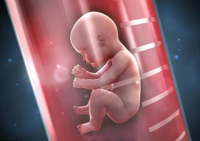 深圳二胎代生,做深圳试管婴儿前女性应该注意补充哪些营养？8万够吗？